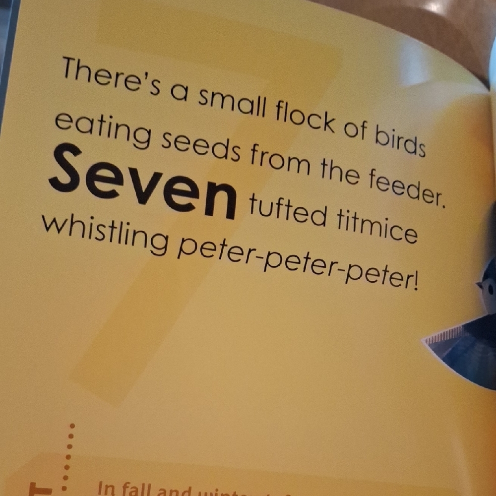 Backyard Birds For Babies - Softback Book - Picture 3 of 4
